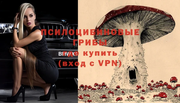 spice Алексин