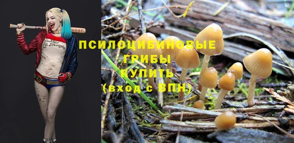 spice Алексин