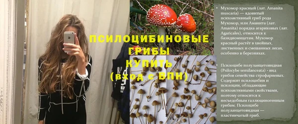 spice Алексин