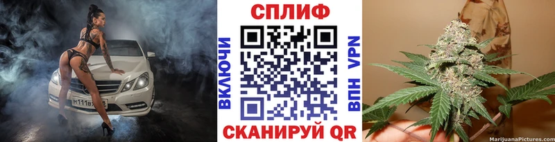 дарнет шоп  Куртамыш  Бошки Шишки гибрид 